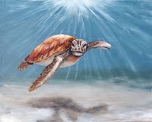 Load image into Gallery viewer, All Ages TROPICAL TURTLE Event Sept 29th 6pm-9pm
